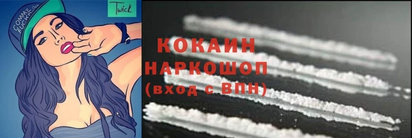 таблы Бородино