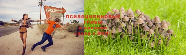 ALPHA-PVP Богданович