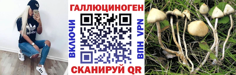 дарнет шоп  Ясногорск  Галлюциногенные грибы Magic Shrooms 
